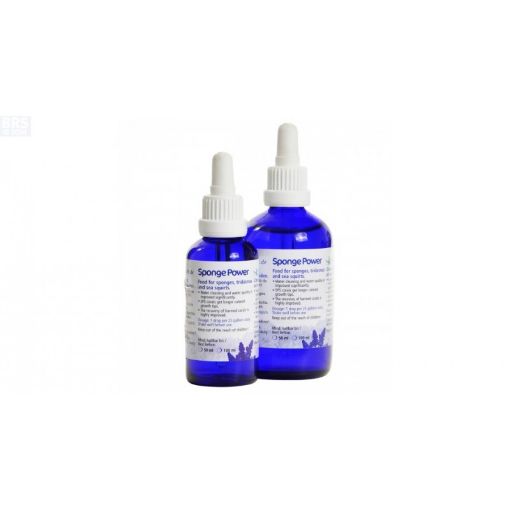 Immagine di Sponge Power Concentrate 10 ml