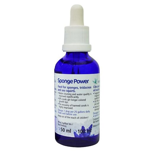 Immagine di Sponge Power Concentrate 50 ml