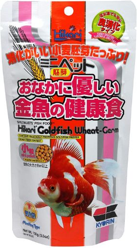 Immagine di HIKARI GOLDFISH WHEAT-GERM MINI  100G