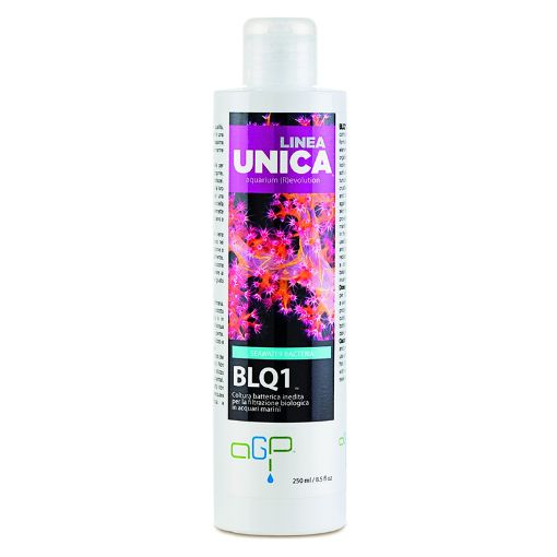 Immagine di BLQ1 250ml