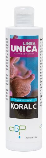 Immagine di KORAL C 1000ml