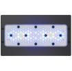 Immagine di Radion XR30wG5 Blue