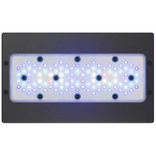 Immagine di Radion XR30wG5 Blue