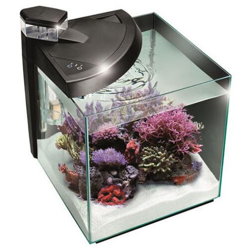 Immagine di NEWA More 50R Nero