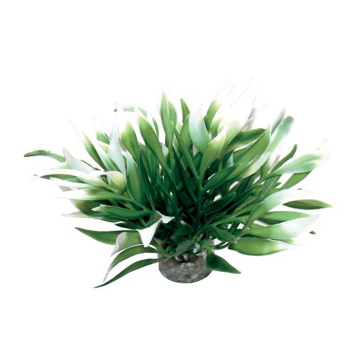 Immagine di PIANTA SYDECO AQUATIC LEAVES cm.12