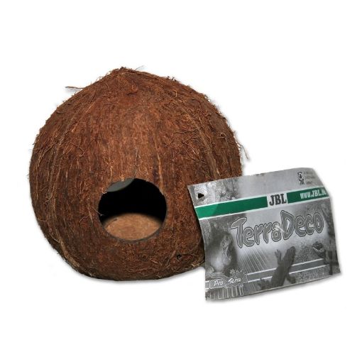Immagine di Cocos Cava 1/1 L - (Grotta di noce di cocco)