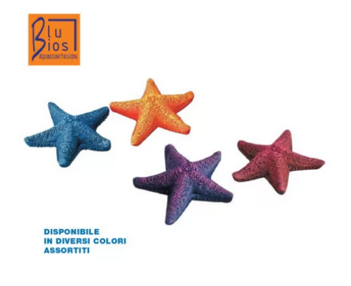 Immagine di DEC. STARFISH D/cm 8