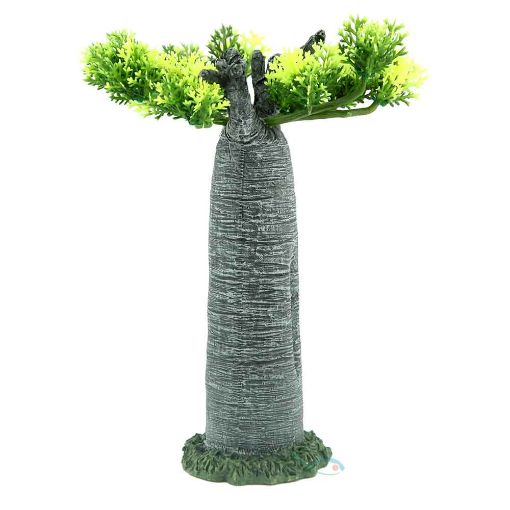 Immagine di AFRICA BAOBAB M