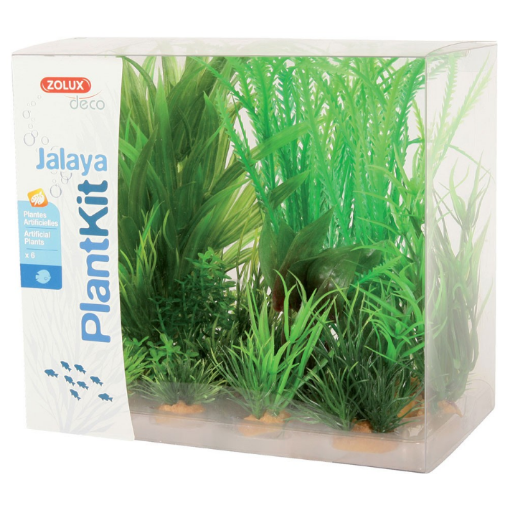 Immagine di PLANTKIT  JALAYA&quot