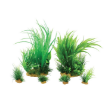 Immagine di PLANTKIT  JALAYA&quot