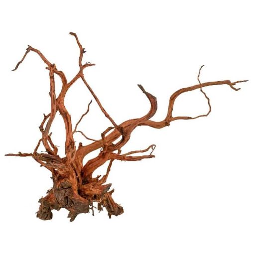 Immagine di AMTRA LEGNO RED SPIDER KING XS             .