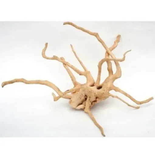 Immagine di AQPET ZEN WOOD ROOT RADICE LEGNO SELECT XLARGE 50-70 CM
