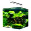 Immagine di AMTRA NANOTANK SYSTEM 15 (30x20x25cm)