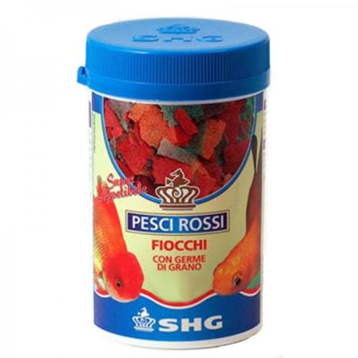Immagine di Pesci Rossi in Fiocchi