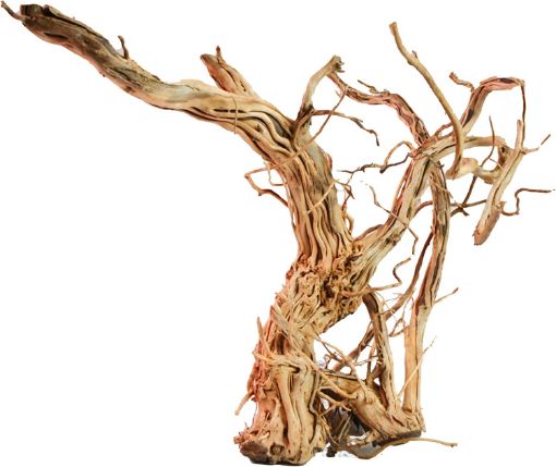 Immagine di LEGNO DRAGON SKIN MD