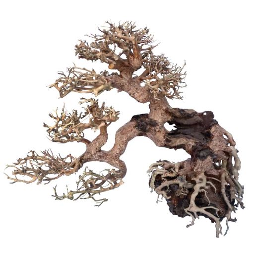 Immagine di LEGNO ORIENTAL WIND 7 MD
