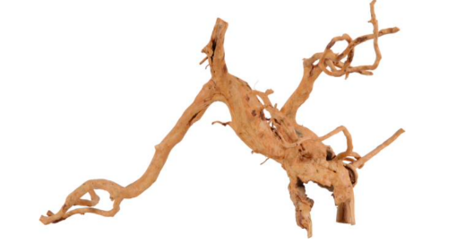 Immagine di RED WOOD 40-50CM
