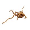 Immagine di ZEN WOOD MEDIUM