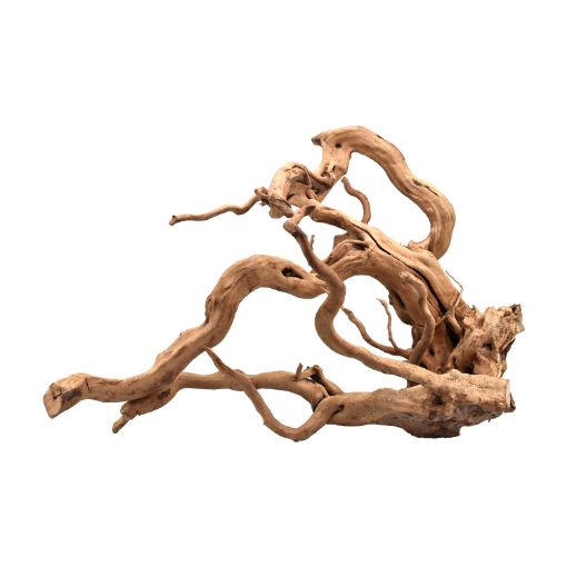 Immagine di RED WOOD 50-60CM