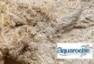 Immagine di RECIFAL BASE 25 CM PUMP