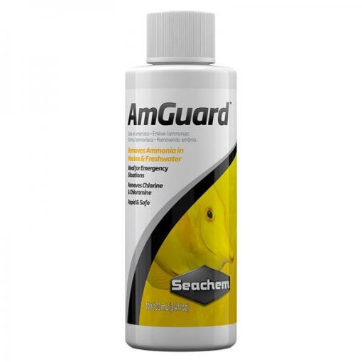 Immagine di AmGuard250 mL