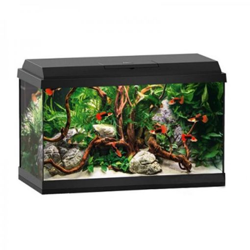 Immagine di PRIMO 60 BLACK