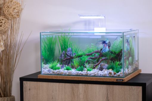 Immagine di BETTA REK BIANCO
