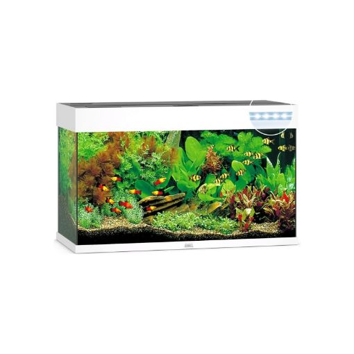 Immagine di JUWEL RIO 125 BIANCO 2x14W LED