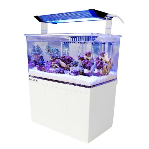 Immagine di AQUAMEDIC MICRO ARMATUS XS 8LT COMPLETO DI LUCE