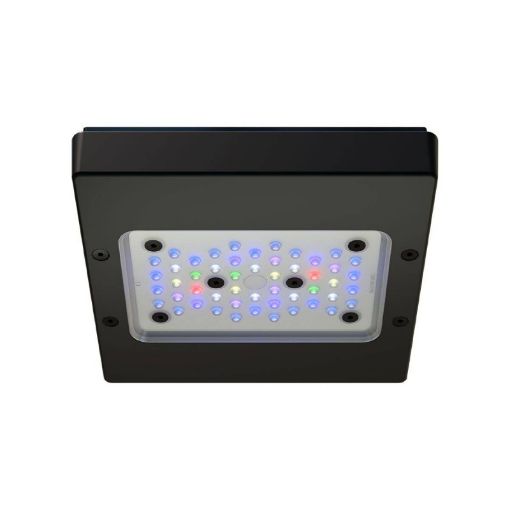 Immagine di Radion XR15w G6 Pro