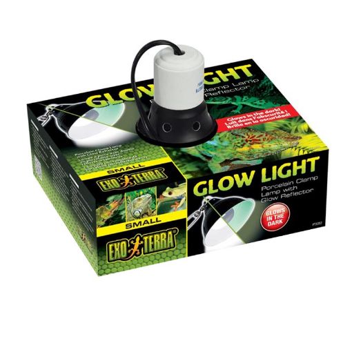 Immagine di PT-2052 GLOW LIGHT SMALL 14 CM