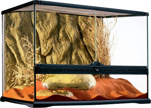 Immagine di PT-2610 GLASS TERRAR. 60X45X45