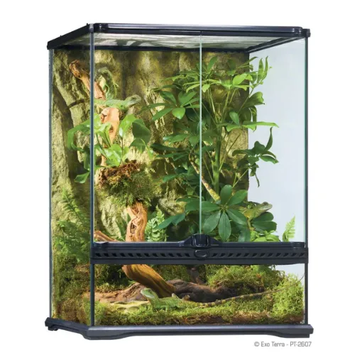 Immagine di PT-2607 GLASS TERRAR. 45X45X6