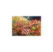 Immagine di TWINSTAR LIGHT 80B