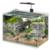 Immagine di TONGA 40 ACQUARIO