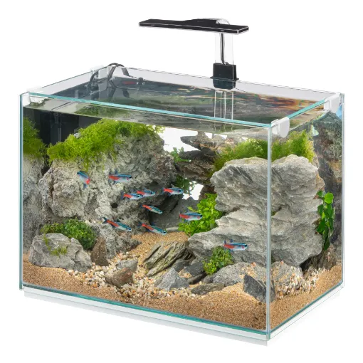 Immagine di TONGA 40 ACQUARIO