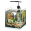 Immagine di TONGA 20 ACQUARIO