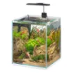 Immagine di TONGA 25 ACQUARIO