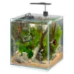 Immagine di TONGA 30 ACQUARIO