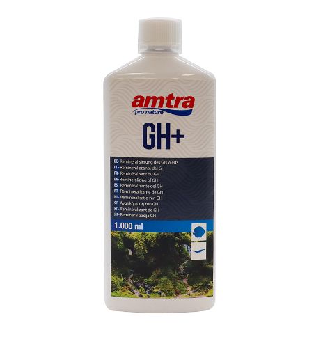 Immagine di AMTRA GH + 1000 ml