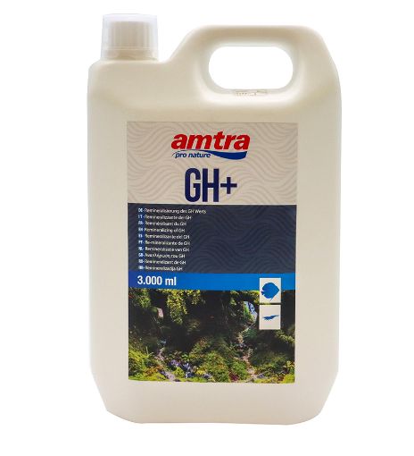 Immagine di AMTRA GH + 3000 ml