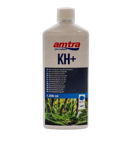 Immagine di AMTRA KH + 1000 ml