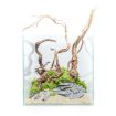 Immagine di AQPET ACQUARIO KUBIC 50 IN VETRO EXTRACHIARO 8 MM