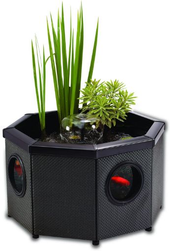 Immagine di Z AG Window Pond Octagon (Mocha)