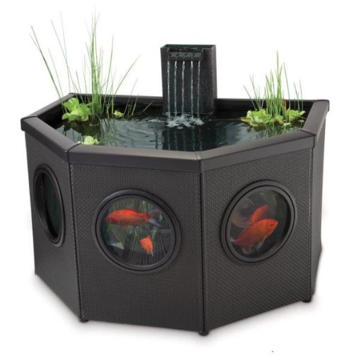 Immagine di Z AG Window Pond Halfmoon (Mocha)
